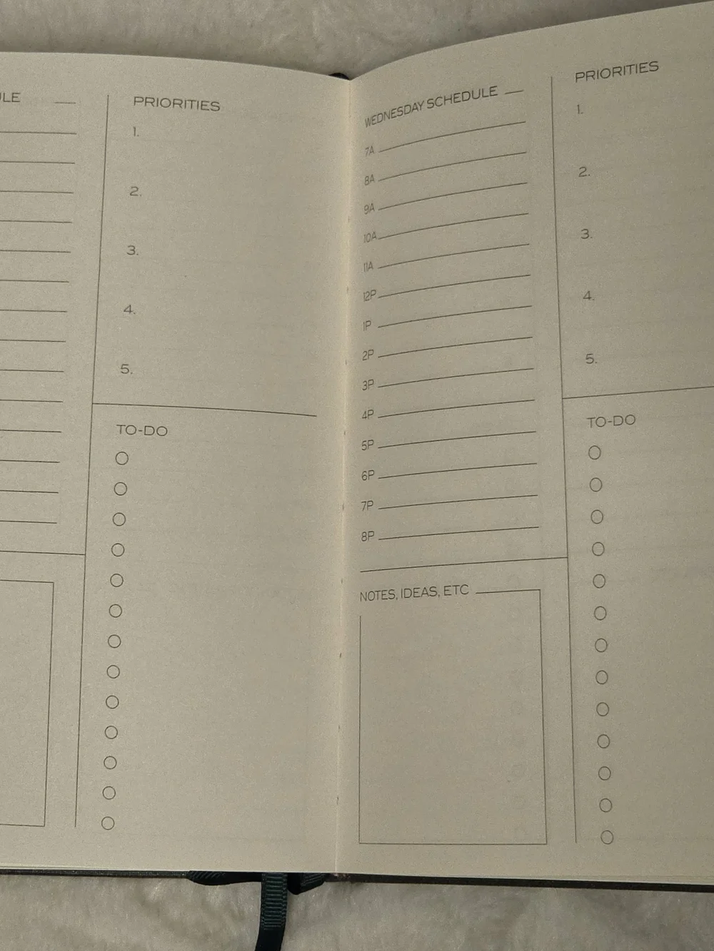 Anecdote Daily Workflow Planner - Green